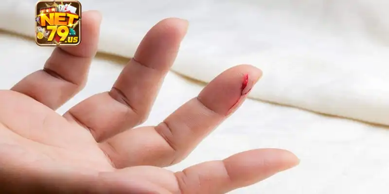 Giải mã chi tiết giấc chiêm bao